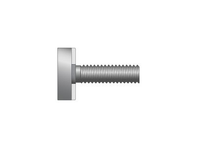 TBT-S 41/22 Toothed T-Bolt | 316 Stainless
